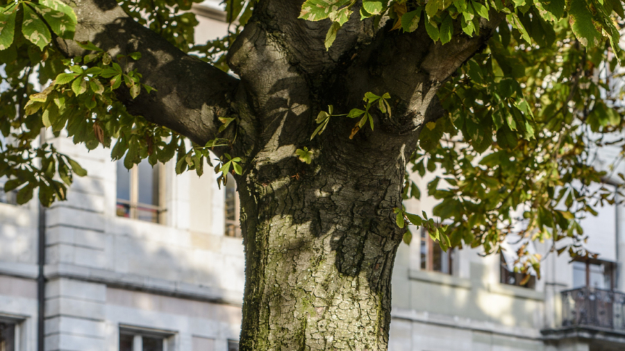 bandeau-1920x640-nature