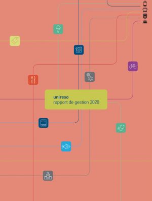 rapport-gestion-2020 rapport-gestion-2020